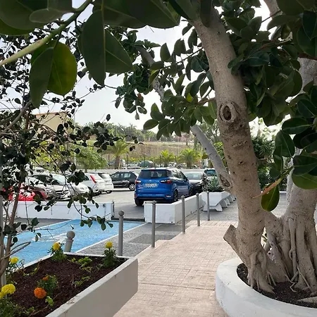 Ponderosa Tenerife プラヤ・デ・ラス・アメリカス