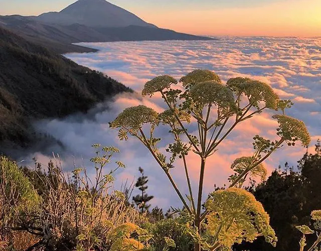 Lägenhet Ponderosa Tenerife *